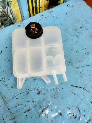 Radiator Coolant for Mazda Axela
