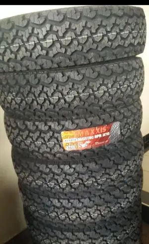 205R16 Maxxis