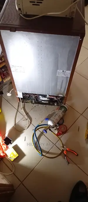 Fridge Repair Services