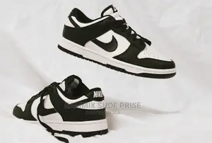 Jordan SB Dunk