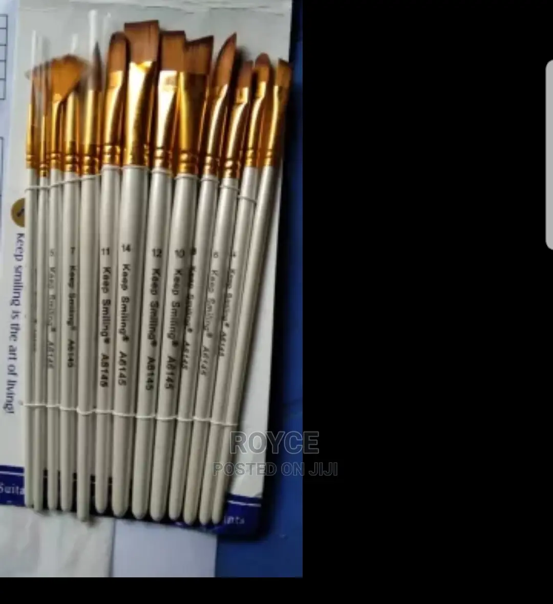 13pcs Artist Brushes