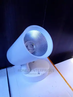 Spotlight Led 20wlt