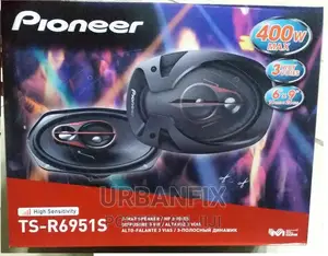 Pioneer 400 Watts Midrange Speakers (TS-R6951S)