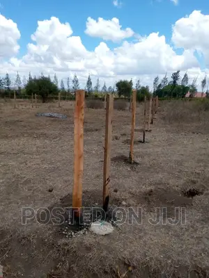 Commercial Plots 500 Meters Off the Road^CN