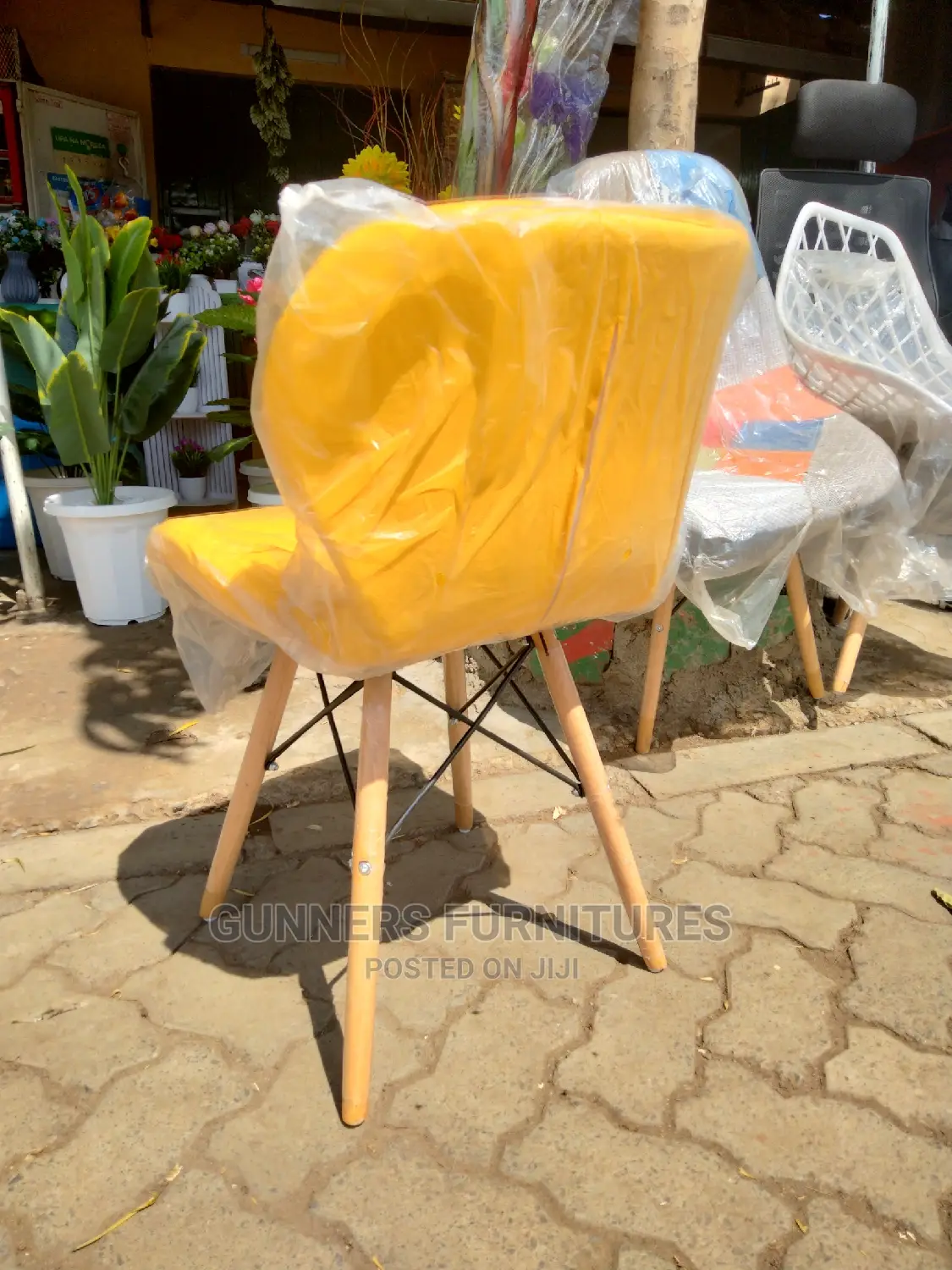 Dining Chairs.