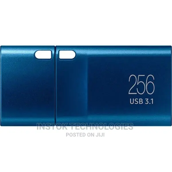 Samsung 256gb USB 3.2 Gen 1 Type-C Flash Drive (Blue)