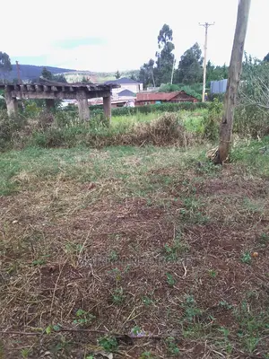 1⁄4 Acre Plot Murengeti
