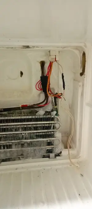Fridge Repair Services
