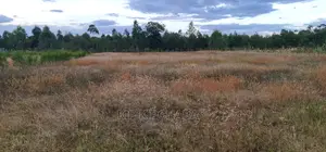 Full 1⁄2 Acre Plot for Sale in Kiplombe Eldoret