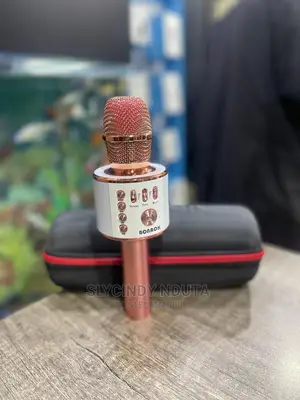 Bonaok Singing Microphone