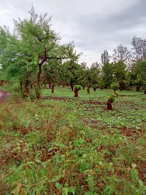 4 Acres on Sale at Mbombo