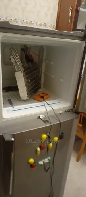 Fridge Repair Services
