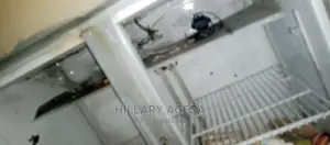 Fridge Repair Services