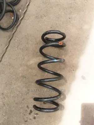 Probox Front Springs