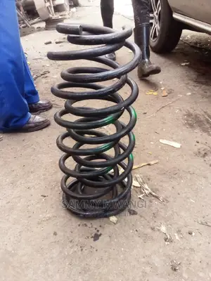 V8 Rear Springs
