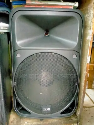 Trill Plastic 15 Inch Speaker