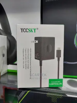 Nintendo Switch and Lite Replacement Charger