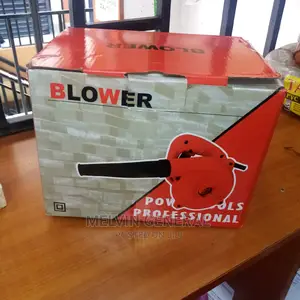 Power Tool Blower
