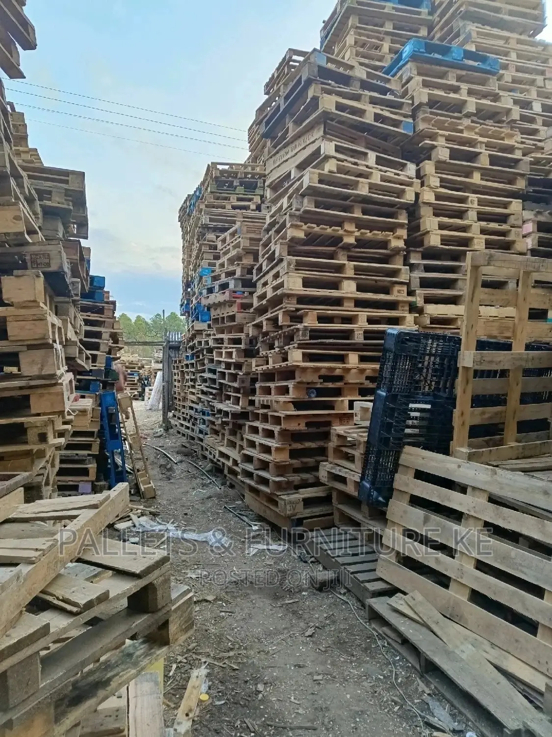 Sofa Pallets