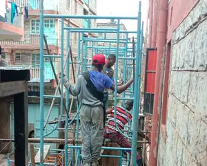 Ladders and Scaffolds Experts