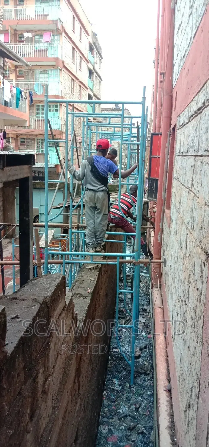 Ladders and Scaffolds Experts
