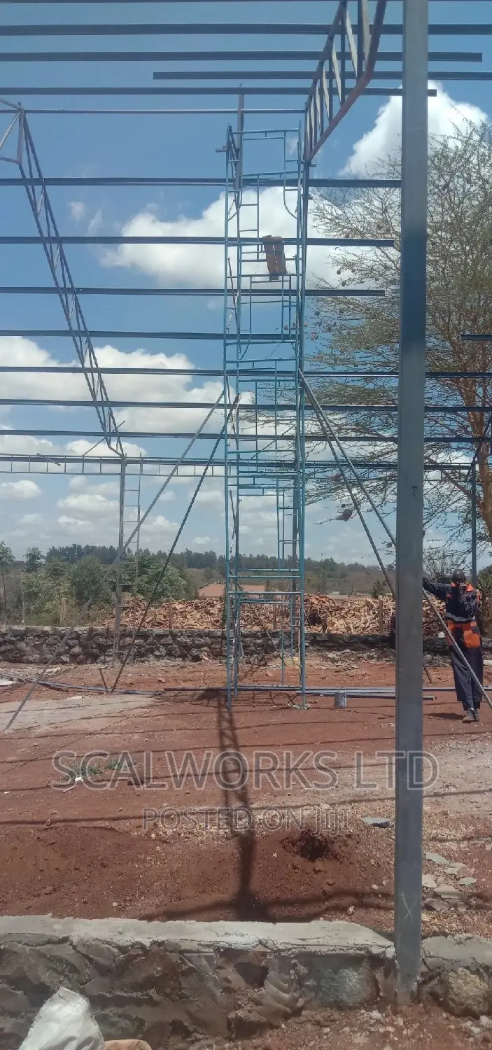 Ladders and Scaffolds Experts