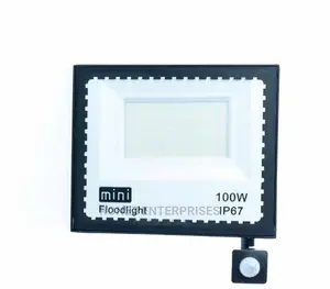 Floodlight 100 Wlts Mini