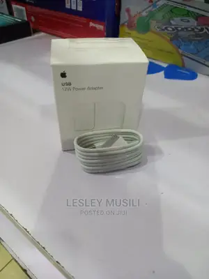 12W iPad Charger