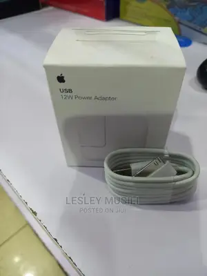 12W iPad Charger
