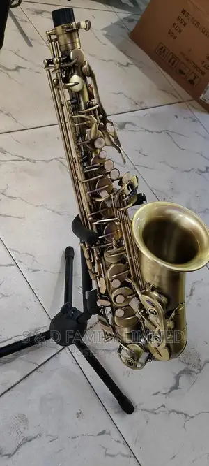 Selmer Alto Saxophone