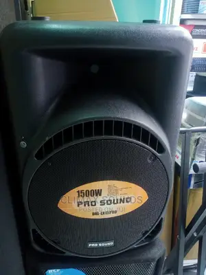 Pro Sound Midi Range Speaker P15