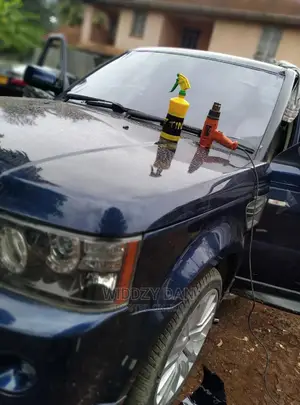 Executive Car Tinting