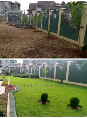 Before and After Landscaping Work