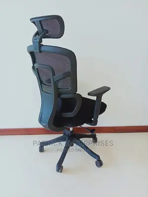 Imported Orthopedic Office Chair