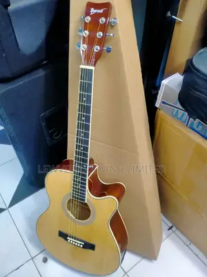 Ibanez 40 Semi Acoustic Guitar