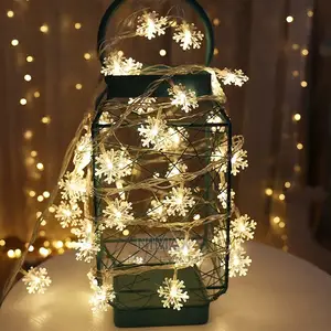 Fairy Lights for Chrismas Decoration