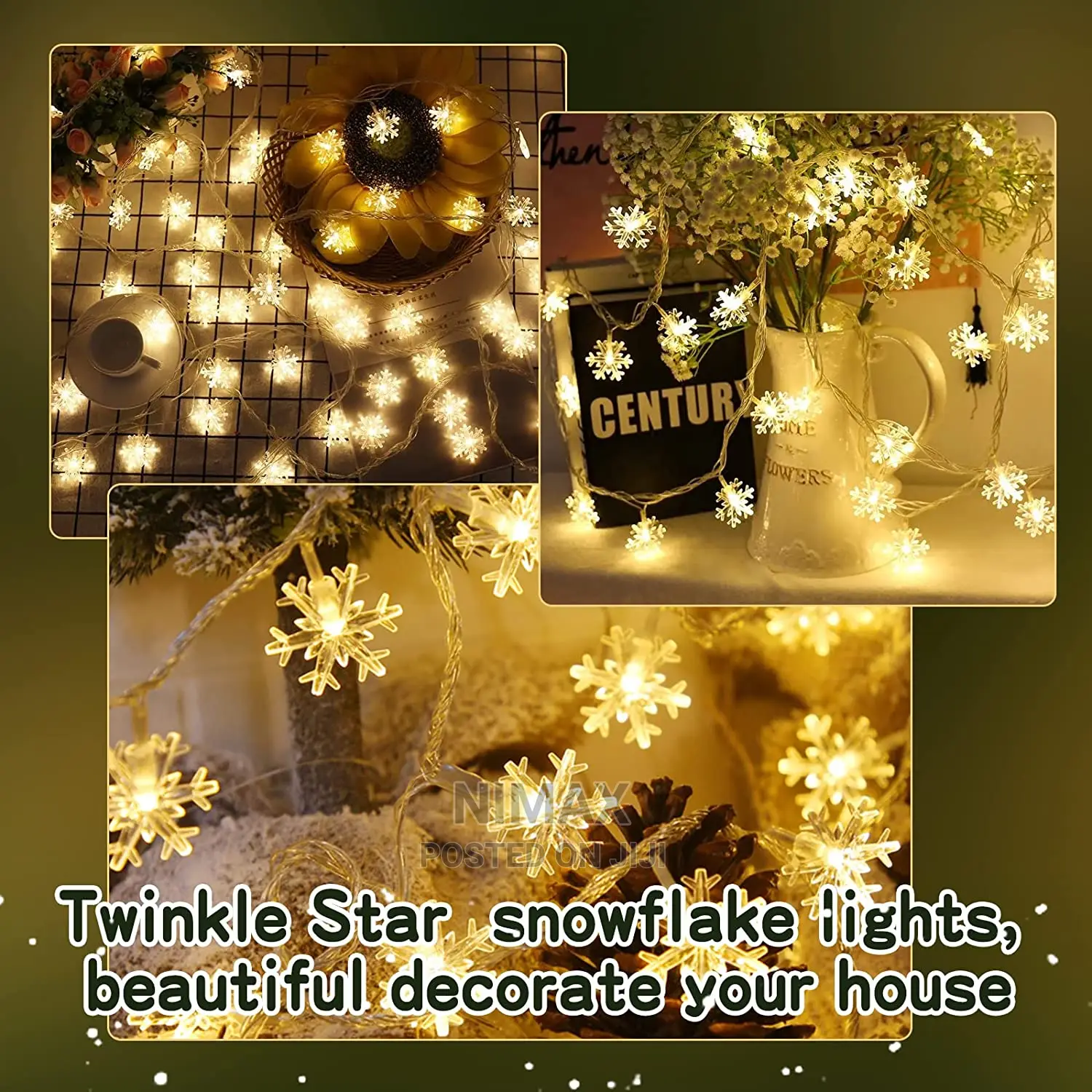 Fairy Lights for Chrismas Decoration