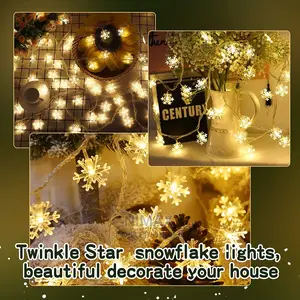 Fairy Lights for Chrismas Decoration