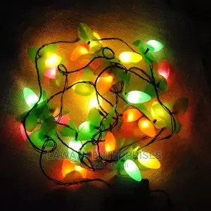 Christmas Fruit Lights - Small