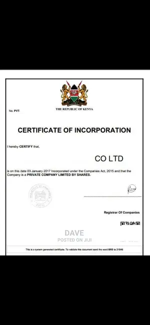 Company and Business Registration