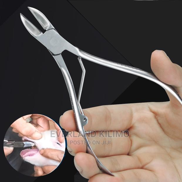 Teeth Clippers- Durable 10cm - main view