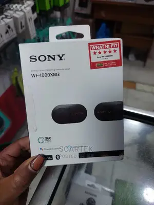 Sony Noise Cancelling Earbuds (WF-1000XM3)