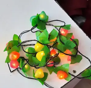 Christmas Fruit Lights- Big