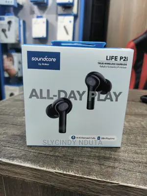 Soundcore by Anker Life P2i