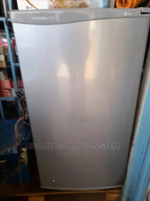 Fridge and Freezers Services