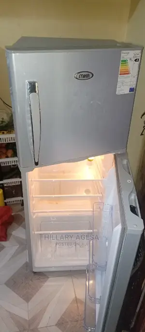 Fridge Repair Services