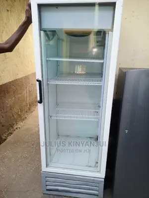 Display Fridge 400l