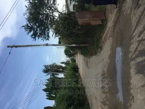 1/4 of an Acre for Sale Free Area