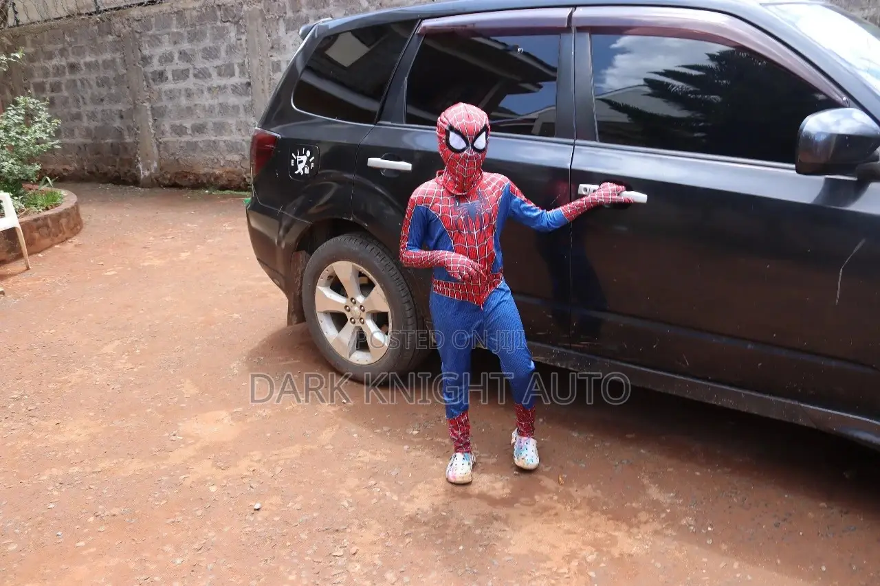 Spiderman Superhero Costumes