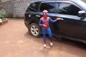 Spiderman Superhero Costumes